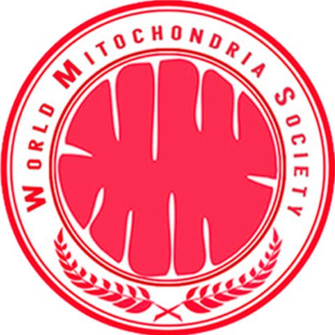 European Neuroscience Societies Triple Doctor Berenika Maciejewicz