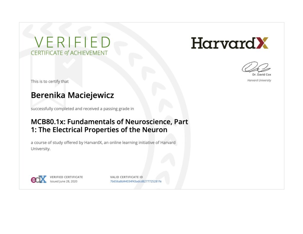 Dr3 Berenika Maciejewicz Harvard Medicine Neuroscience Program